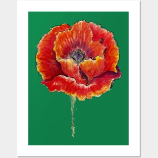 Big Poppy Flower Posters and Art